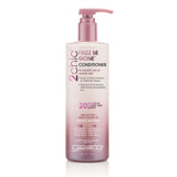 2chic® FRIZZ BE GONE™ CONDITIONER - 2 Sizes