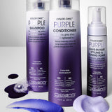 COLOR CHIC™ PURPLE LEAVE-IN HAIR STYLING & TONING FOAM