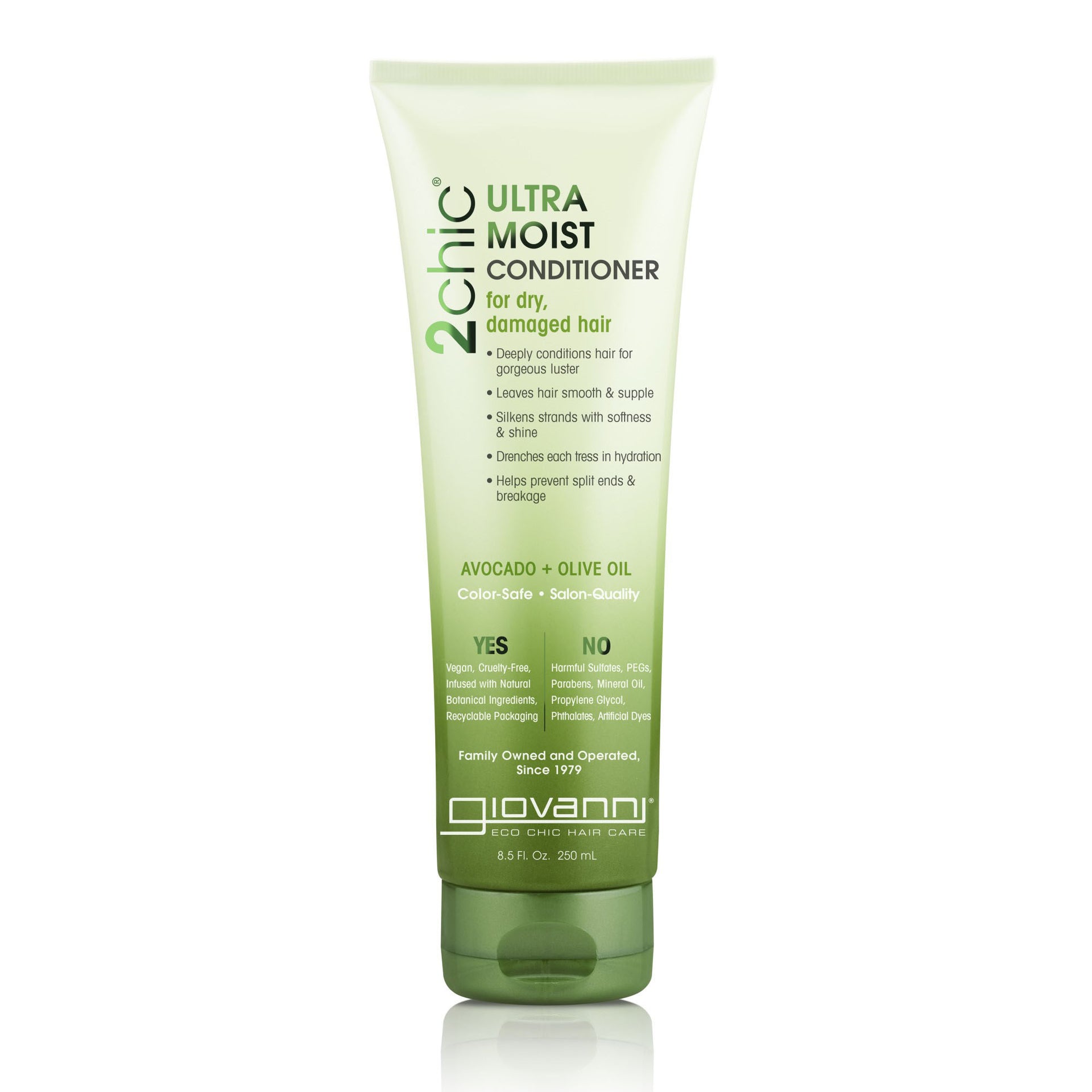 2chic® ULTRA-MOIST CONDITIONER - 2 Sizes 1